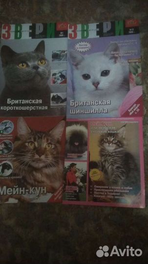 Любителям кошек