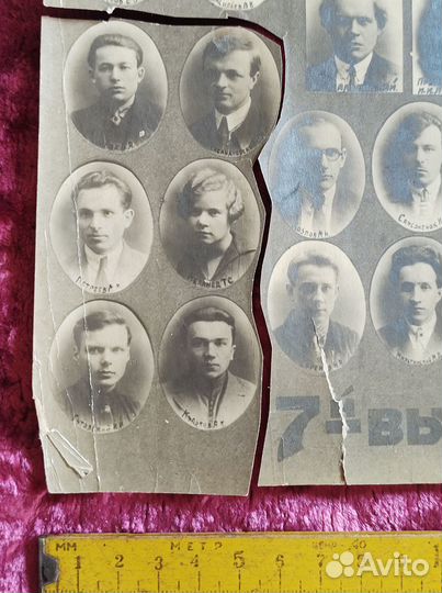 Ленинградский техниикум индустриального земледелия