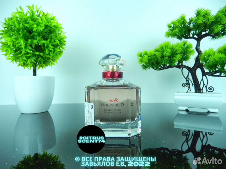 Guerlain - Mon Guerlain Bloom of Rose Отливант