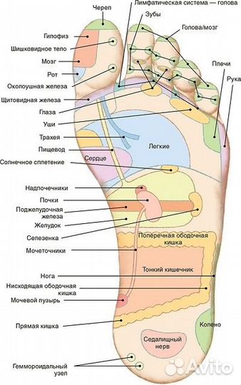 Детокс пластыри