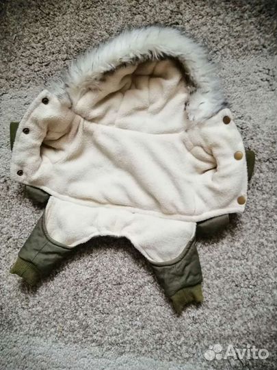 Курточка для маленькой собачки