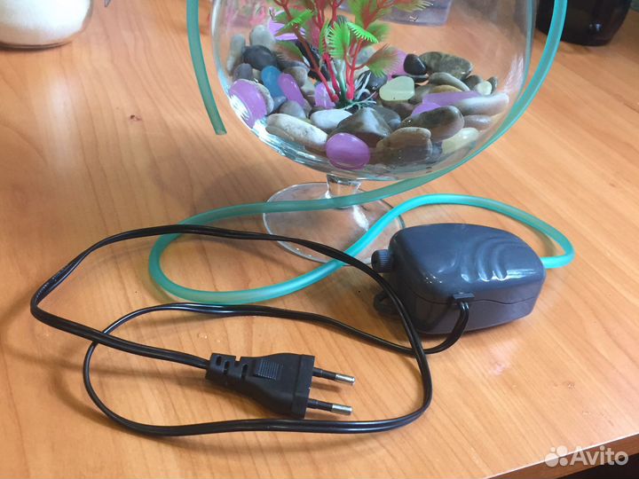 Аквариум бокал