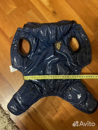 Одежда для собак