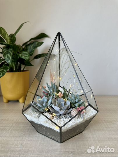 Флорариум с суккулентами