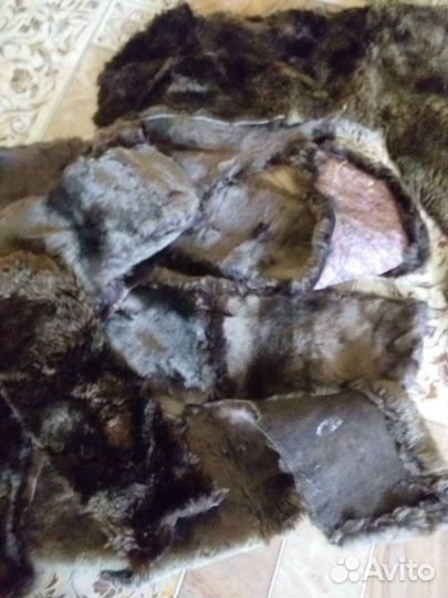 Шкурка (шкура нутрия, норка, суслик)