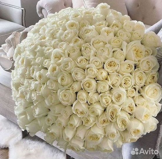 51 Роза, Букеты Цветы Розы 25 101 501 1001