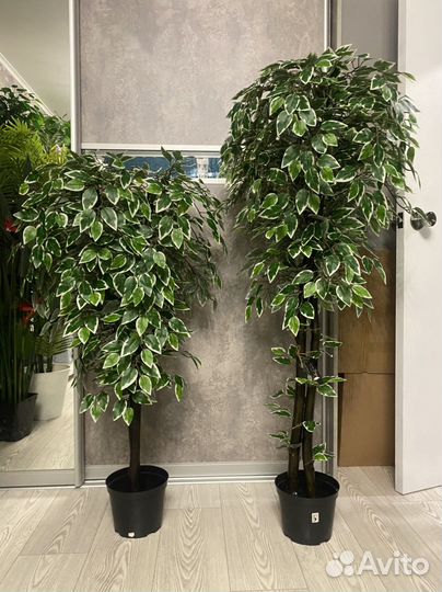 Искусственное дерево Искусственный Фикус