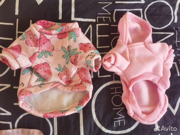 Кофта на маленькую собачку