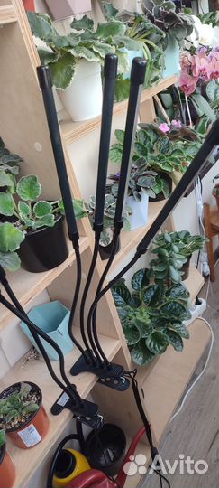 Фитолампа для растений полный спектр