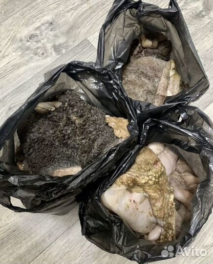 Говяжья обрез, рубец, легкое