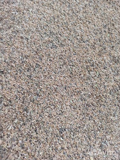 Отходы пшеничные