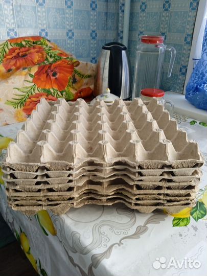 Лотки для яиц