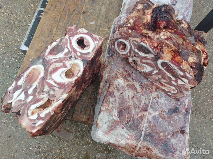 Мясо и субпродукты для собак