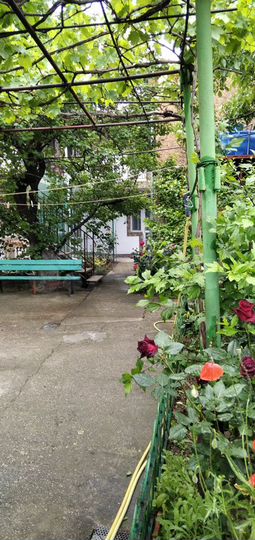 Комната 15 м², 1/2 эт.