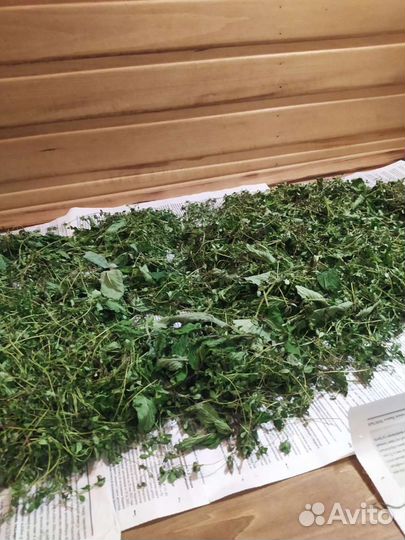 Мята сушенная