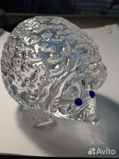 Ёж хрустальный