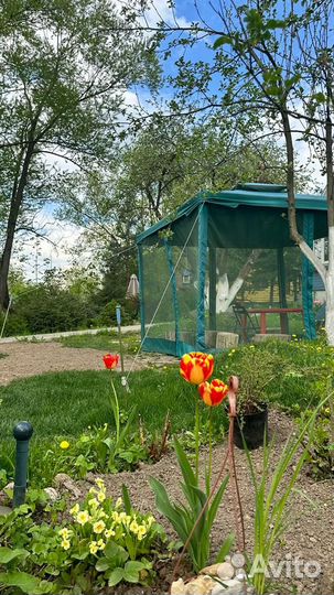 Аренда беседки, шатра. Мангал