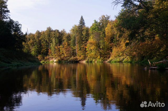 Сплав По Кокшаге