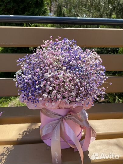 Гипсофила в коробке