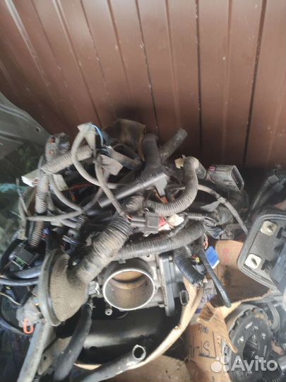 Коса двигателя Koleos 2.5 2TR