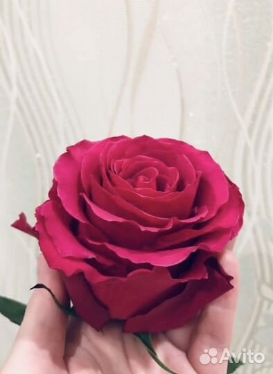 Таролог консультации