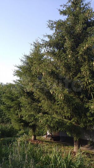 Дача 30,8 м² на участке 15 сот.