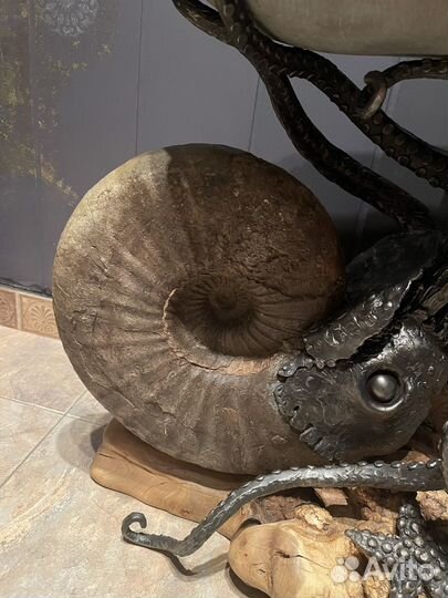 Палентологический стол из аммонита