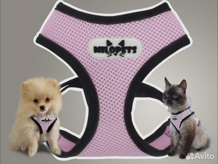 Шлейка + поводок 120 см