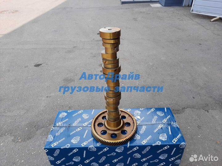 Распредвал Мерседес Актрос мотор 501