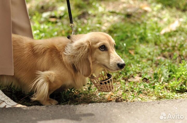 Объектив nikon 50mm f 1.4д