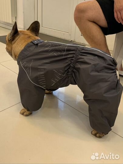 Дождевик для собак