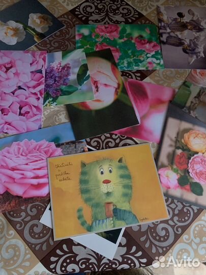 Открытки новые