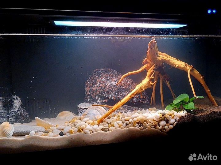 Аквариум Xiaomi mijia SMART fish tank 20л