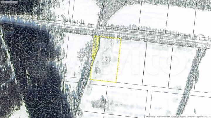 Участок 96,3 сот. (СНТ, ДНП)