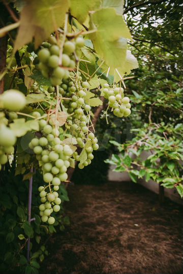 Дом 140 м² на участке 6 сот.