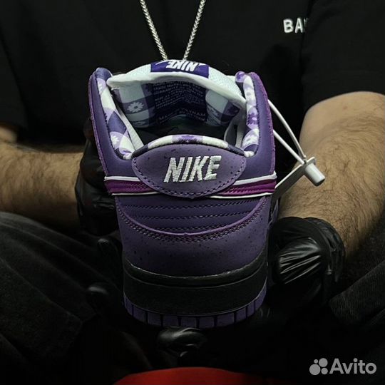 Кроссовки Nike sb Dunk low purple lobster