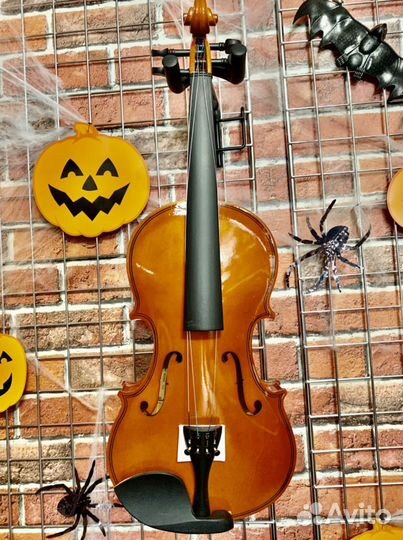 Скрипка 4/4 (полный комплект)