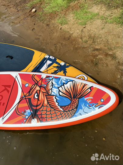 Аренда прокат сап бордов