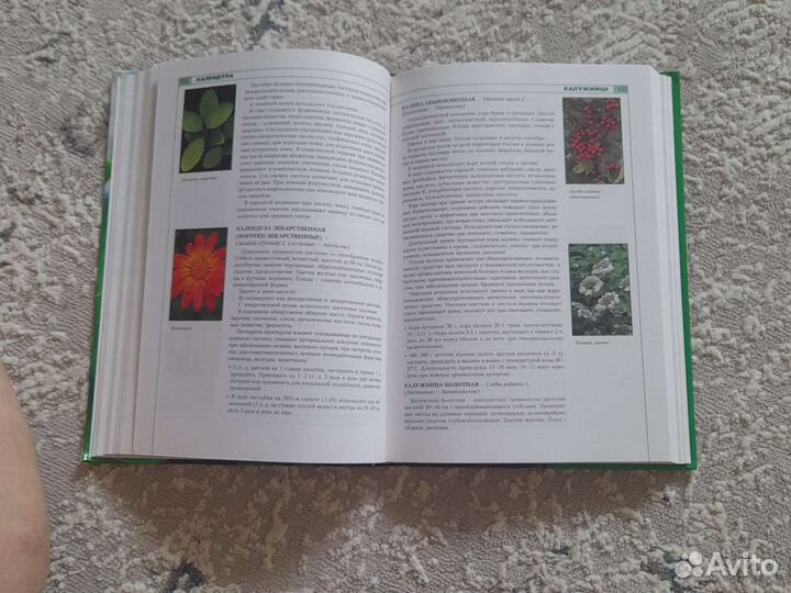 Энциклопедия