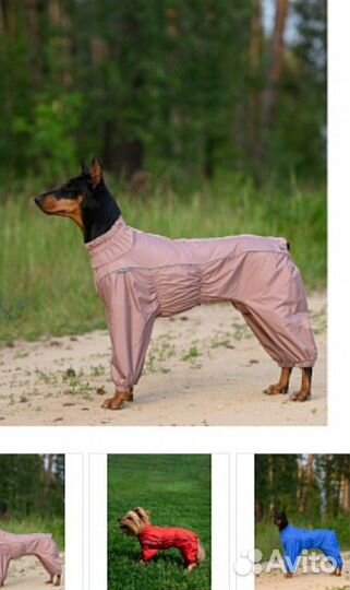 Комбинезоны для собак, неликвид
