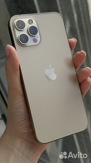 iPhone 12 Pro Max, 256 ГБ