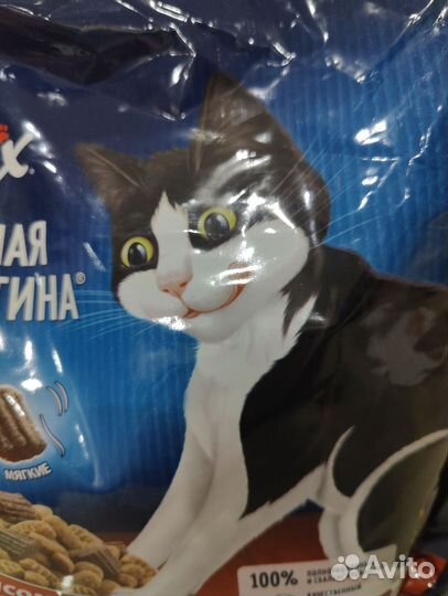 Корм для котов