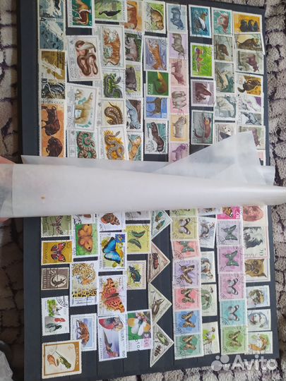 Альбом с почтовыми марками