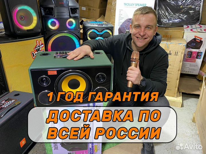 Колонка baab 1000 с караоке и микрофоном