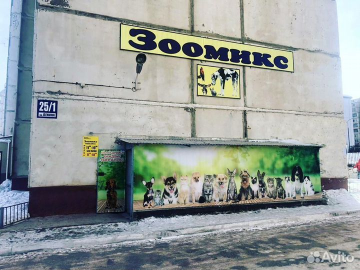 Стрижка собак и кошек