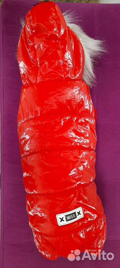 Комбинезон зимний для собачки