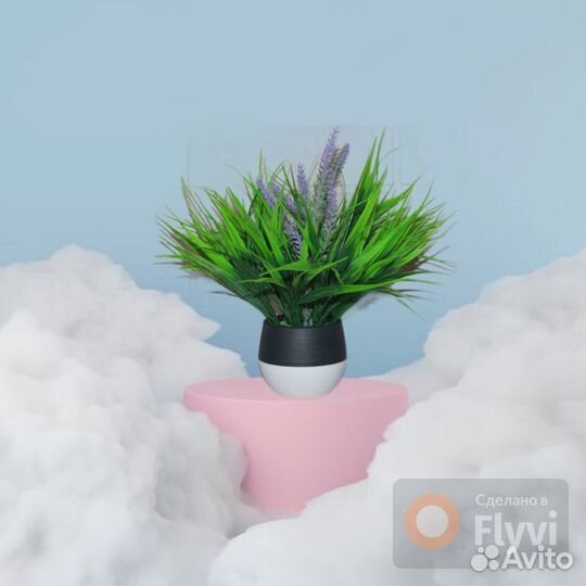 Зелень декоративная в горшке