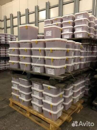 Красная икра нерки оптом 2023