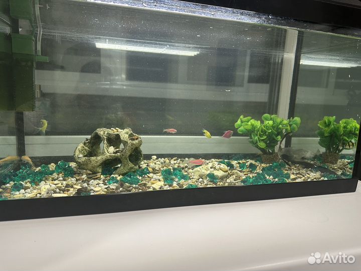 Аквариум