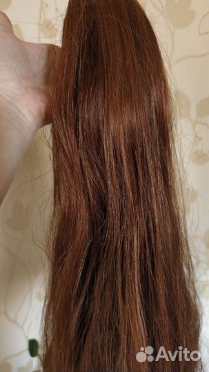 Хвост на крабе